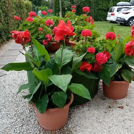 Fuer 4 Personen 2 Ca 60 Qm In Balatonmariafuerdoe, Westungarn Plattensee